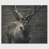 DEER 12 POINT BUCK GESCHENKPAPIER (Flach)