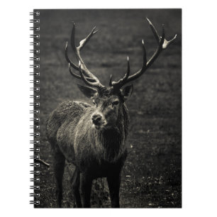 DEER 12 POINT BUCK NOTIZBLOCK