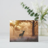 Deer Antler Meadow Postkarte (Stehend Vorderseite)