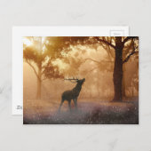 Deer Antler Meadow Postkarte (Vorne/Hinten)