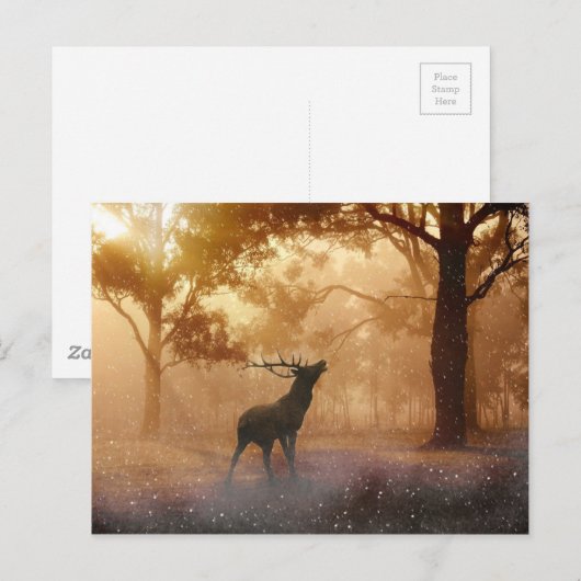 Deer Antler Meadow Postkarte (Vorne/Hinten)