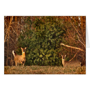 Deer at Sunrise Blank Card