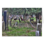 Deer at Zentralfriedhof (Vorderseite (Horizontal))