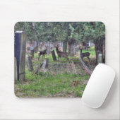 Deer at Zentralfriedhof Mousepad (Mit Mouse)