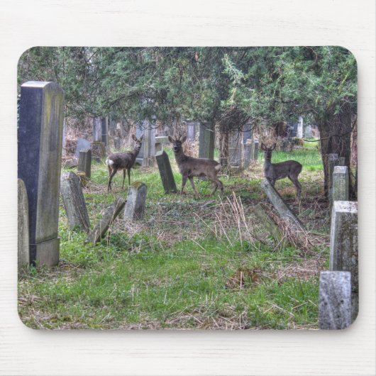 Deer at Zentralfriedhof Mousepad (Vorne)