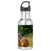 Deer Buck Edelstahlflasche (Vorderseite)
