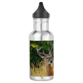 Deer Buck Edelstahlflasche (Links)