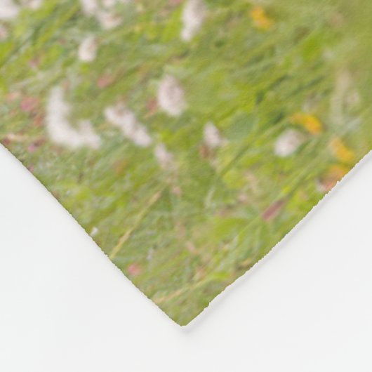 Deer Buck | Nationalpark Rainier Fleecedecke (Ecke)