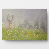 Deer Buck | Nationalpark Rainier Fotoplatte (Vorderseite)