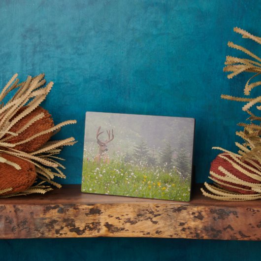 Deer Buck | Nationalpark Rainier Fotoplatte (Seite)