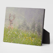 Deer Buck | Nationalpark Rainier Fotoplatte (Seite)