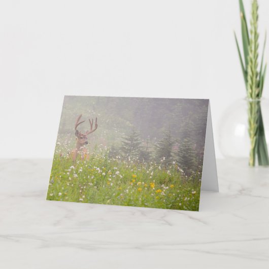 Deer Buck | Nationalpark Rainier Karte (Vorderseite)
