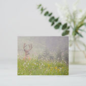 Deer Buck | Nationalpark Rainier Postkarte (Stehend Vorderseite)
