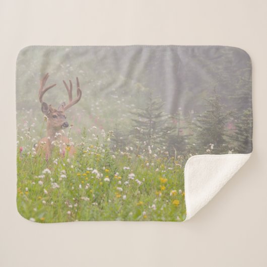 Deer Buck | Nationalpark Rainier Sherpadecke (Vorderseite (Horizontal))