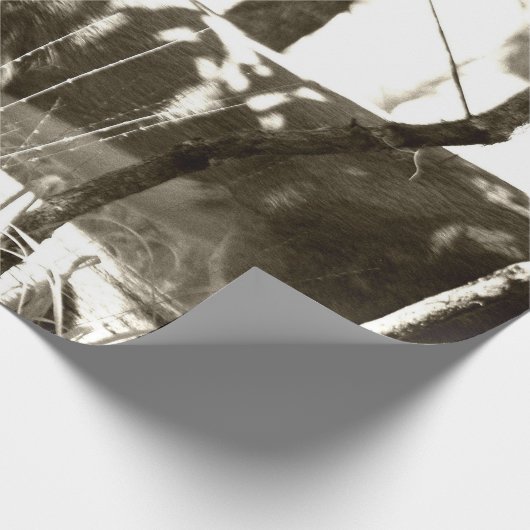 Deer Buck Wrapping Paper Geschenkpapier (Ecke)