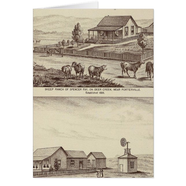 Deer Creek sheep ranches (Vorne)