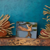 Deer Fawn | Minnesota Fotoplatte (Seite)