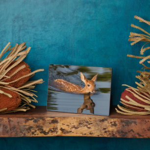 Deer Fawn   Minnesota Fotoplatte