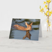 Deer Fawn | Minnesota Karte (Gelbe Blume)