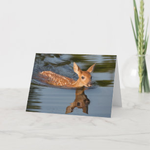 Deer Fawn Minnesota Karte