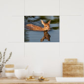 Deer Fawn | Minnesota Poster (Küche)