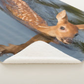 Deer Fawn | Minnesota Sherpadecke (3/4)
