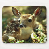 Deer Fawn Mousepad (Vorne)