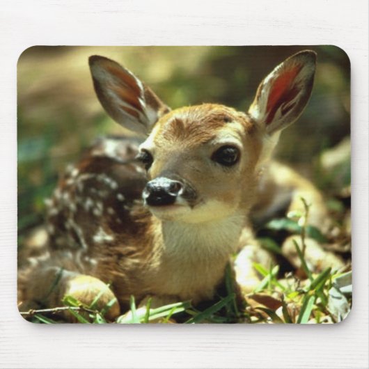 Deer Fawn Mousepad (Vorne)