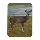Deer Foto Magnet (Vertikal)