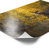 Deer - Grand Canyon Nationalpark - Arizona Fotodruck (Ecke)