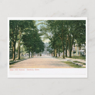Deer Hill Ave., Danbury CT Vintage Postkarte
