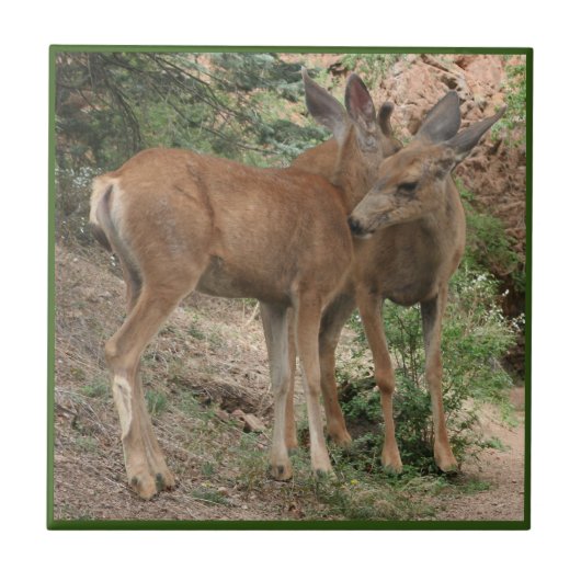 Deer Hugging Fliese (Vorderseite)