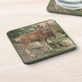 Deer Hugging Getränkeuntersetzer (Linke Seite)