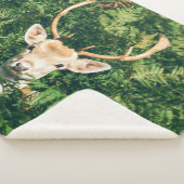 DEER in FERNS Sherpadecke (3/4)