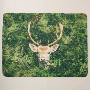 DEER in FERNS Sherpadecke