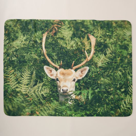 DEER in FERNS Sherpadecke (Vorderseite (Horizontal))