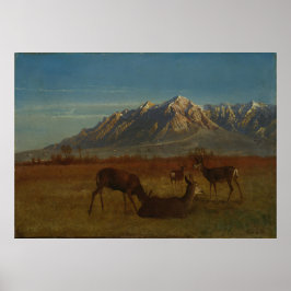 Deer in Mountain Zuhause von Albert Bierstadt Poster