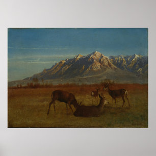 Deer in Mountain Zuhause von Albert Bierstadt Poster