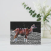 Deer Kudu Postkarte (Stehend Vorderseite)
