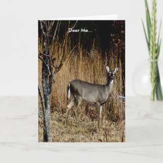 Deer Me Get Well Card Featuring a Beautiful Doe Karte