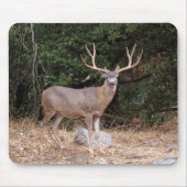 Deer Mousepad (Vorne)