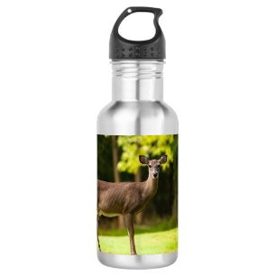 Deer on Golf Course Edelstahlflasche