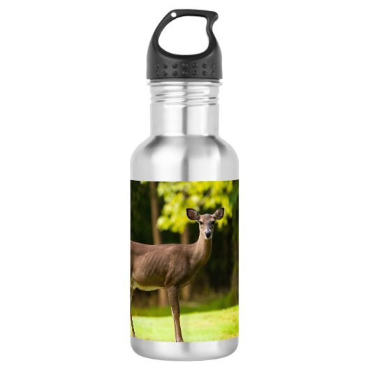 Deer on Golf Course Edelstahlflasche (Vorderseite)