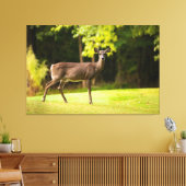Deer on Golf Course Leinwanddruck (Insitu (Wohnzimmer))
