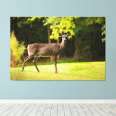 Deer on Golf Course Leinwanddruck (Insitu (Holzboden))