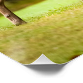 Deer on Golf Course Poster (Ecke)