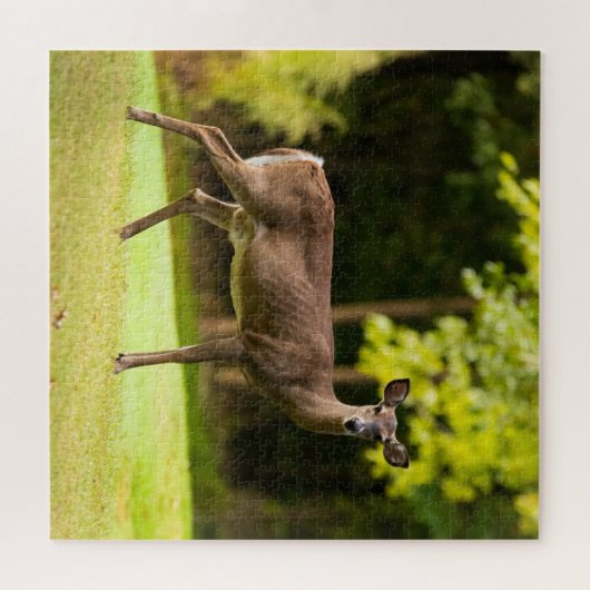 Deer on Golf Course Puzzle (Horizontal)