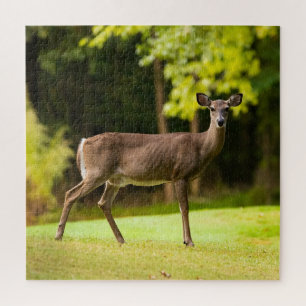 Deer on Golf Course Puzzle