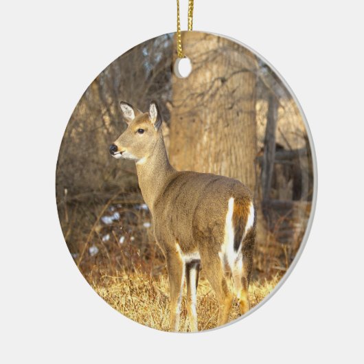 Deer Photo Ornament  (Links)