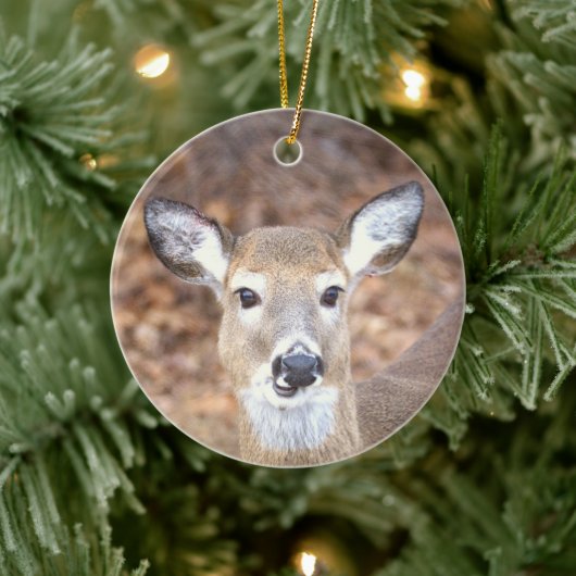 Deer Photo Ornament (Baum)